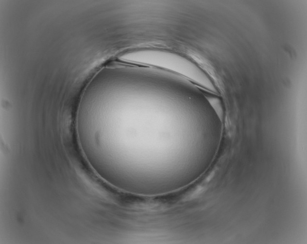 X0000090620201200708071232