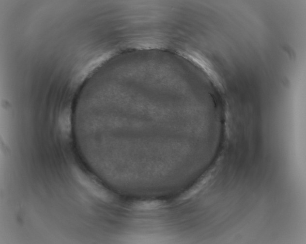 X0000090620202200708071232