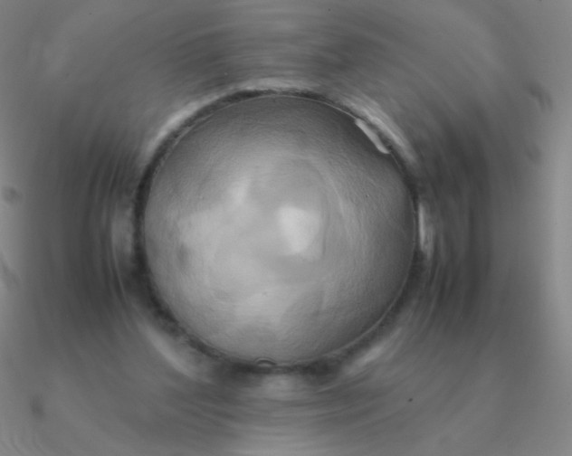 X0000090620204200708071232