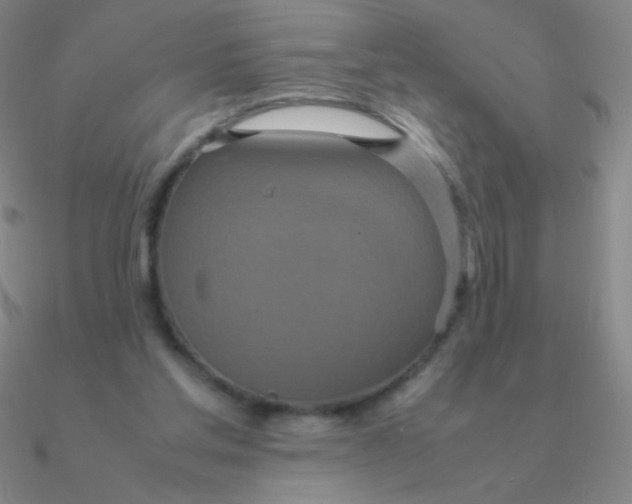 X0000090620205200708071232