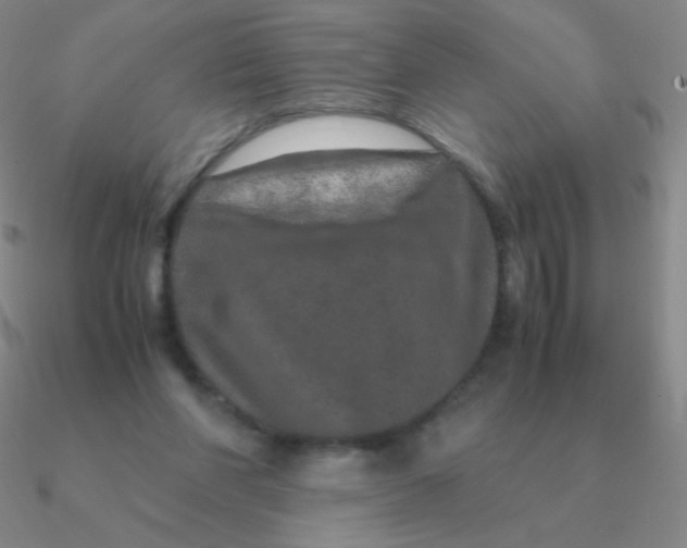 X0000090620206200708071232