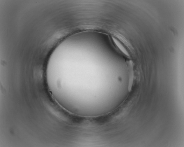 X0000090620207200708071232