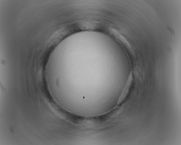 X0000090620209200708071232