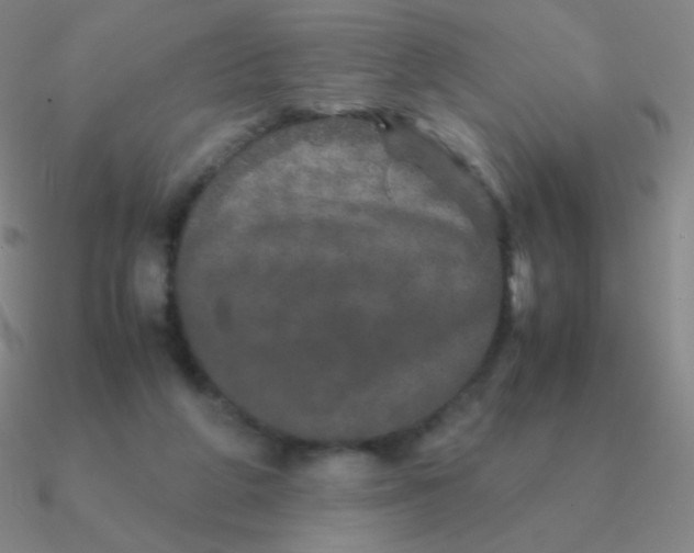 X0000090620210200708071232