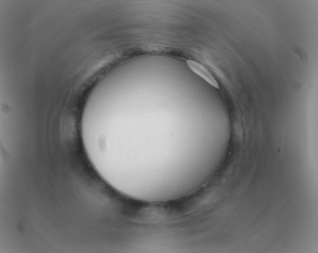 X0000090620211200708071232