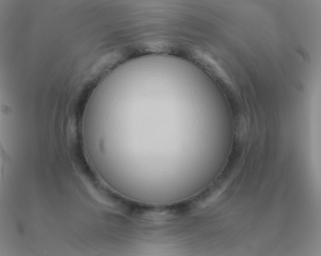 X0000090620213200708071232