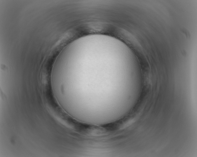 X0000090620215200708071232