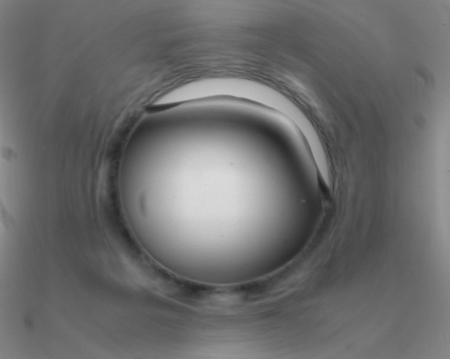 X0000090620217200708071232