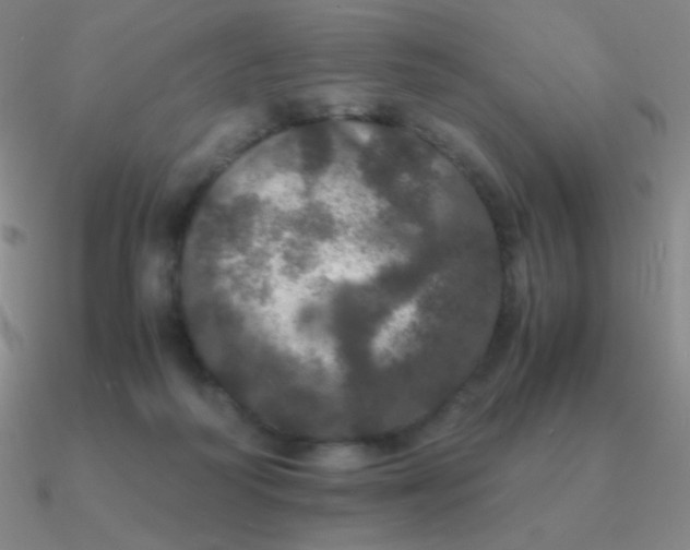 X0000090620218200708071232