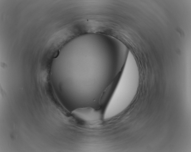 X0000090620219200708071232