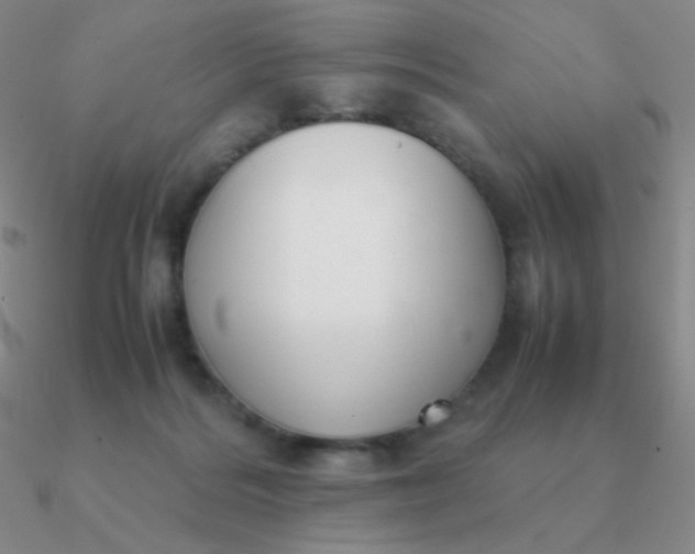 X0000090620220200708071232