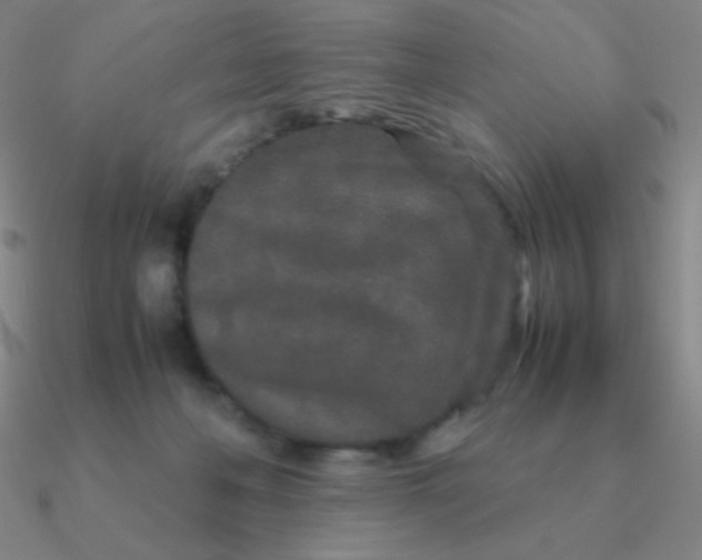 X0000090620222200708071232