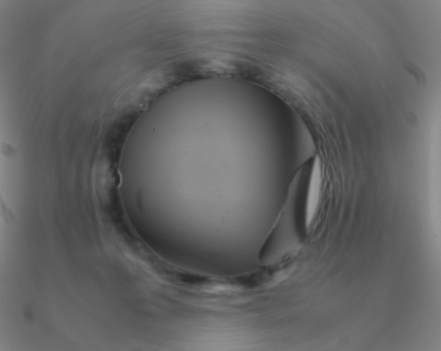 X0000090620223200708071232