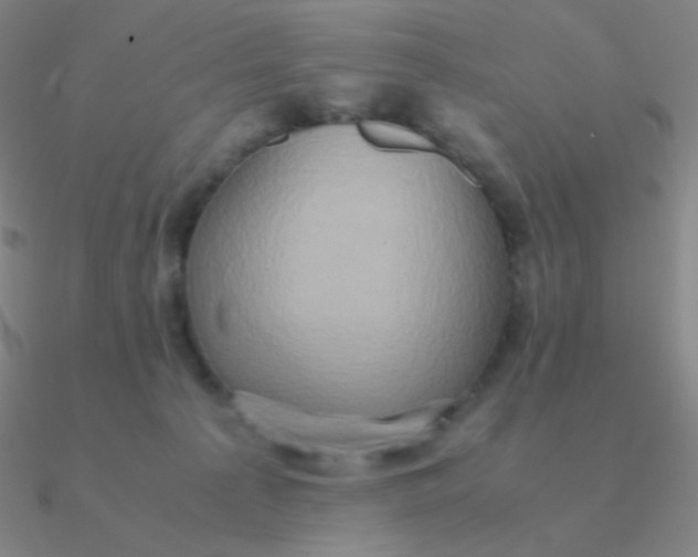 X0000090620225200708071232