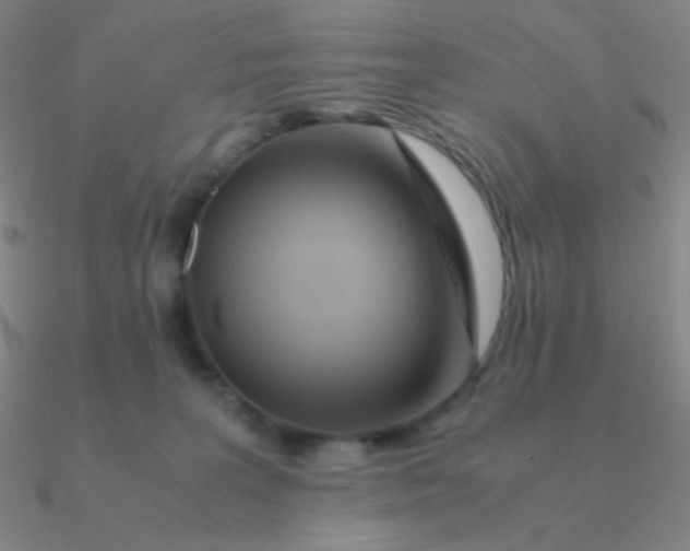 X0000090620227200708071232