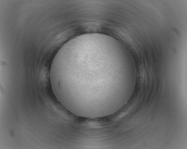 X0000090620228200708071232