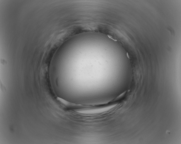 X0000090620229200708071232