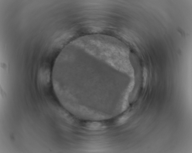 X0000090620230200708071231