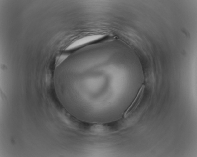 X0000090620231200708071231