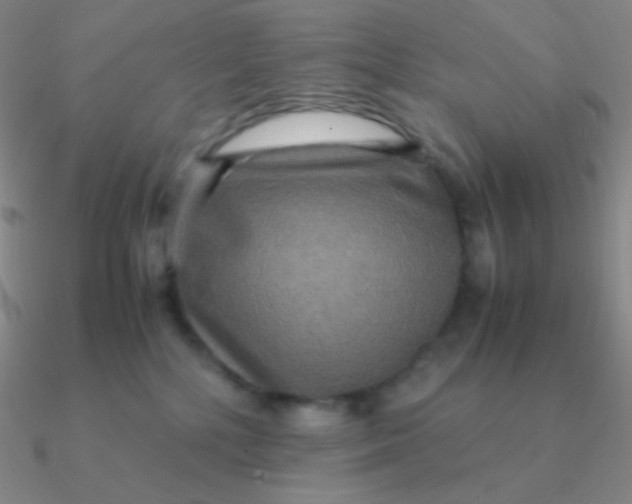 X0000090620232200708071231