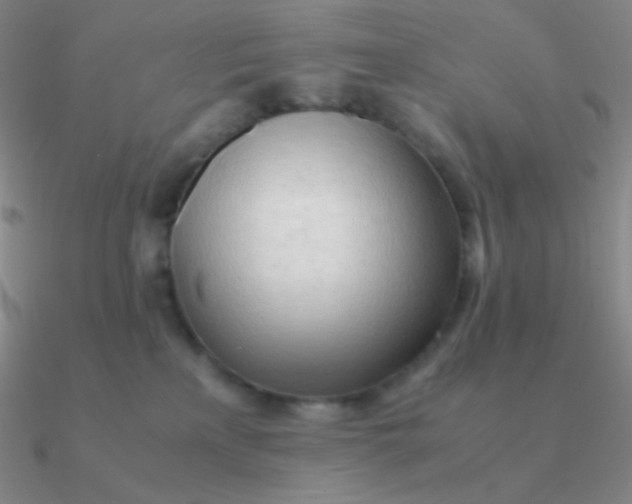 X0000090620233200708071231