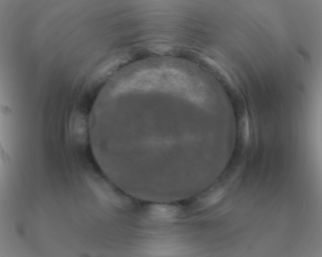 X0000090620234200708071231