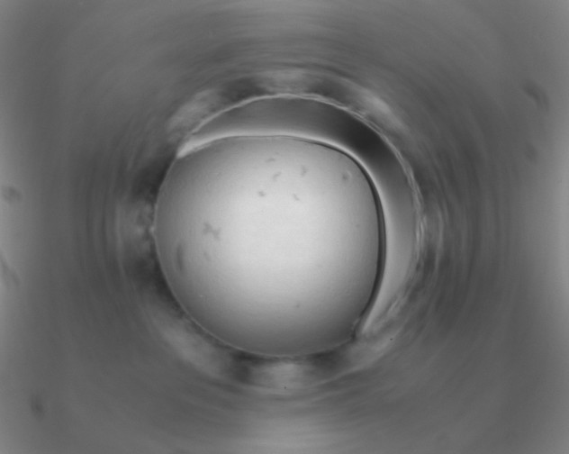 X0000090620237200708071231