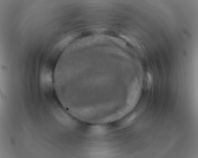 X0000090620238200708071231