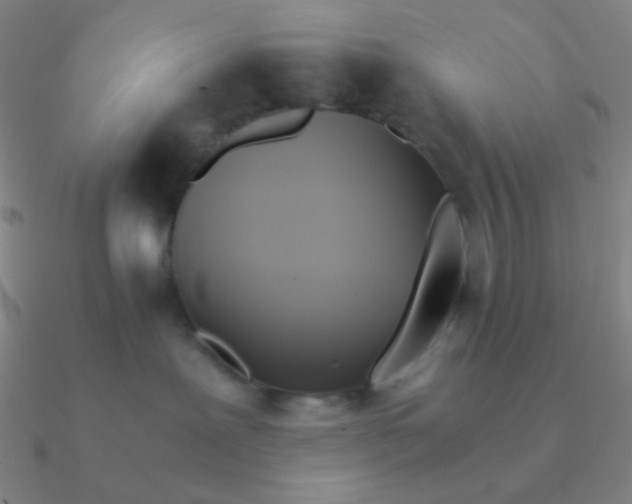 X0000090620239200708071231