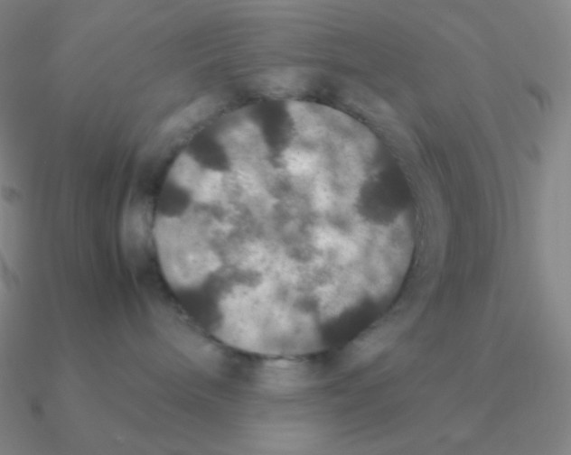 X0000090620240200708071231