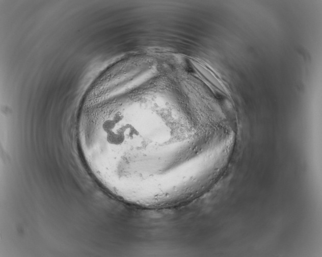 X0000090620241200708071231