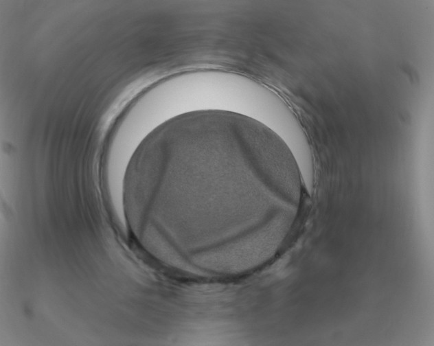 X0000090620244200708071231