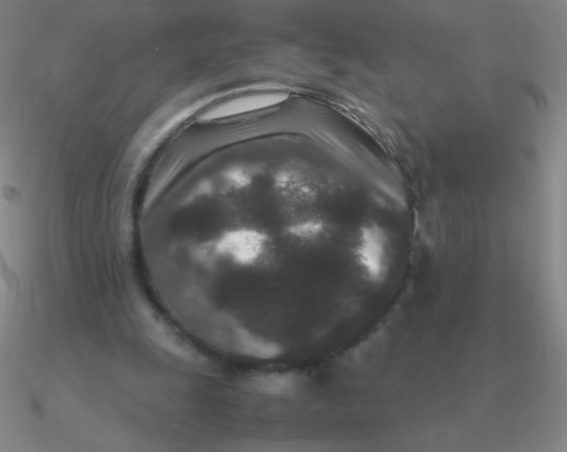 X0000090620247200708071231