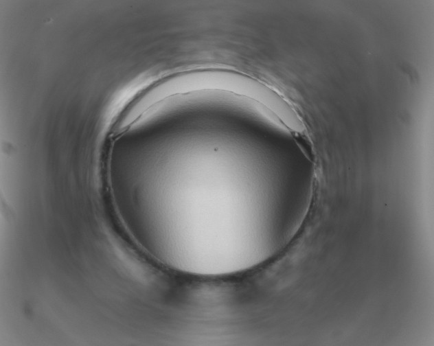 X0000090620248200708071231