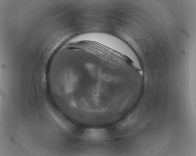 X0000090620251200708071231