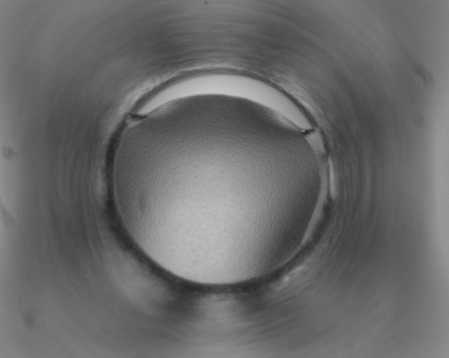 X0000090620252200708071231