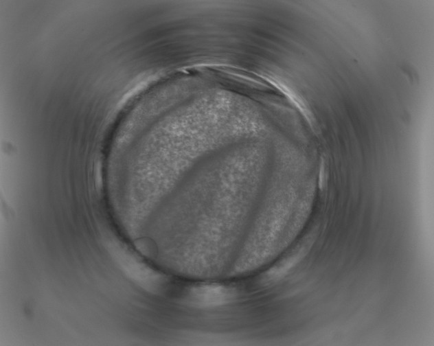 X0000090620253200708071231