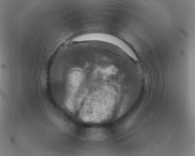 X0000090620255200708071231