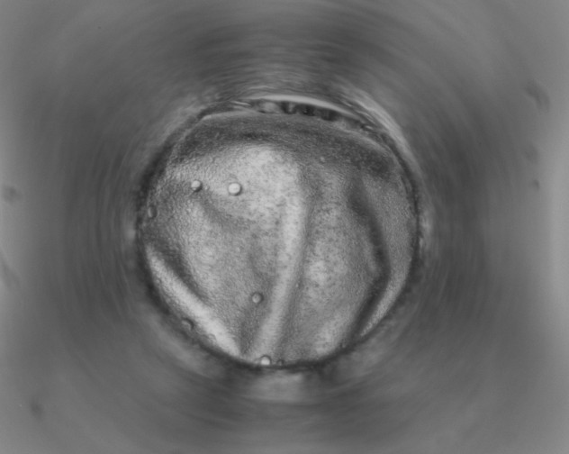 X0000090620257200708071231