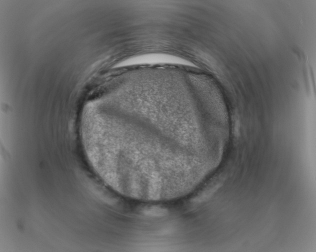 X0000090620258200708071231