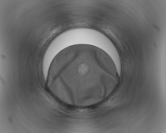 X0000090620260200708071231