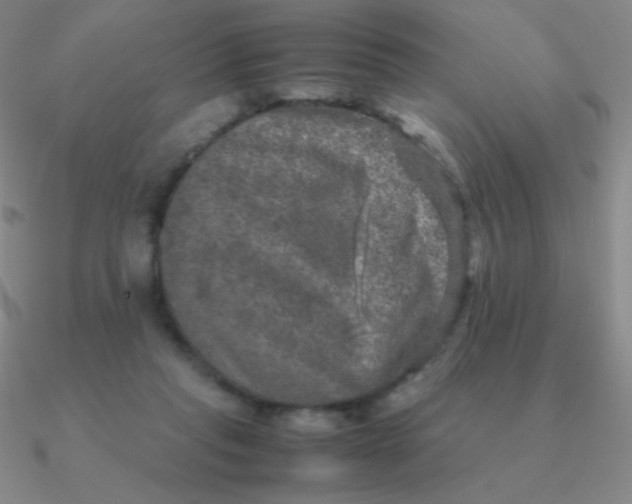 X0000090620261200708071231