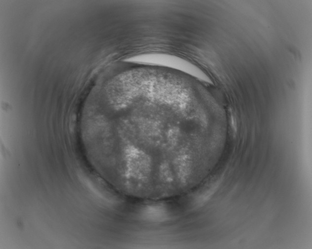 X0000090620263200708071231