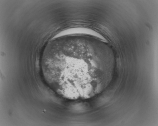 X0000090620267200708071231