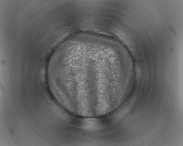 X0000090620269200708071231