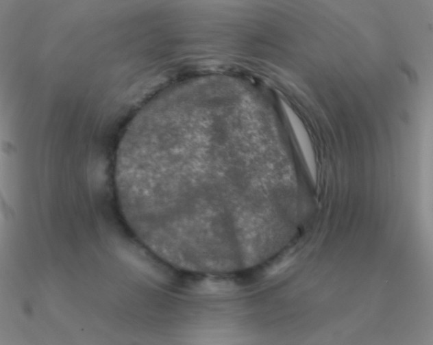 X0000090620270200708071231