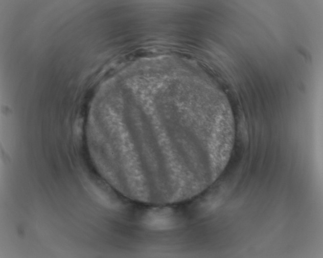 X0000090620271200708071231