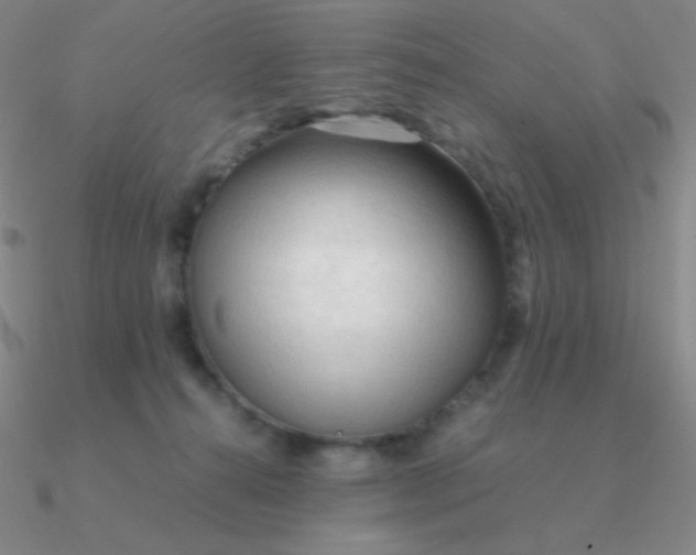 X0000090620272200708071231