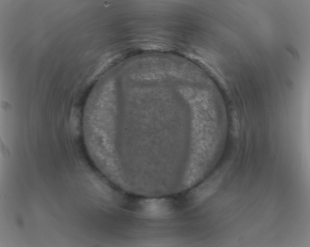 X0000090620273200708071231