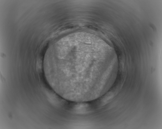 X0000090620274200708071231